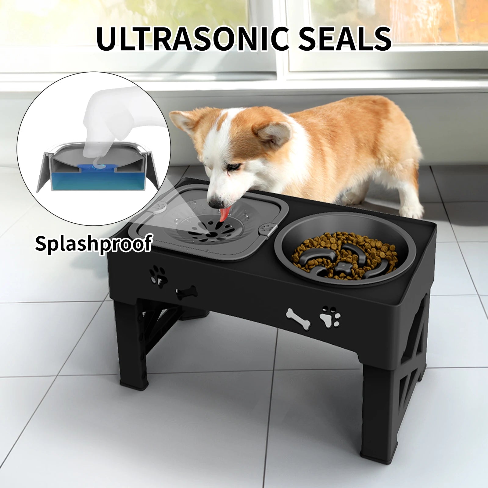 "Transform Mealtime into a Joyful Experience!"