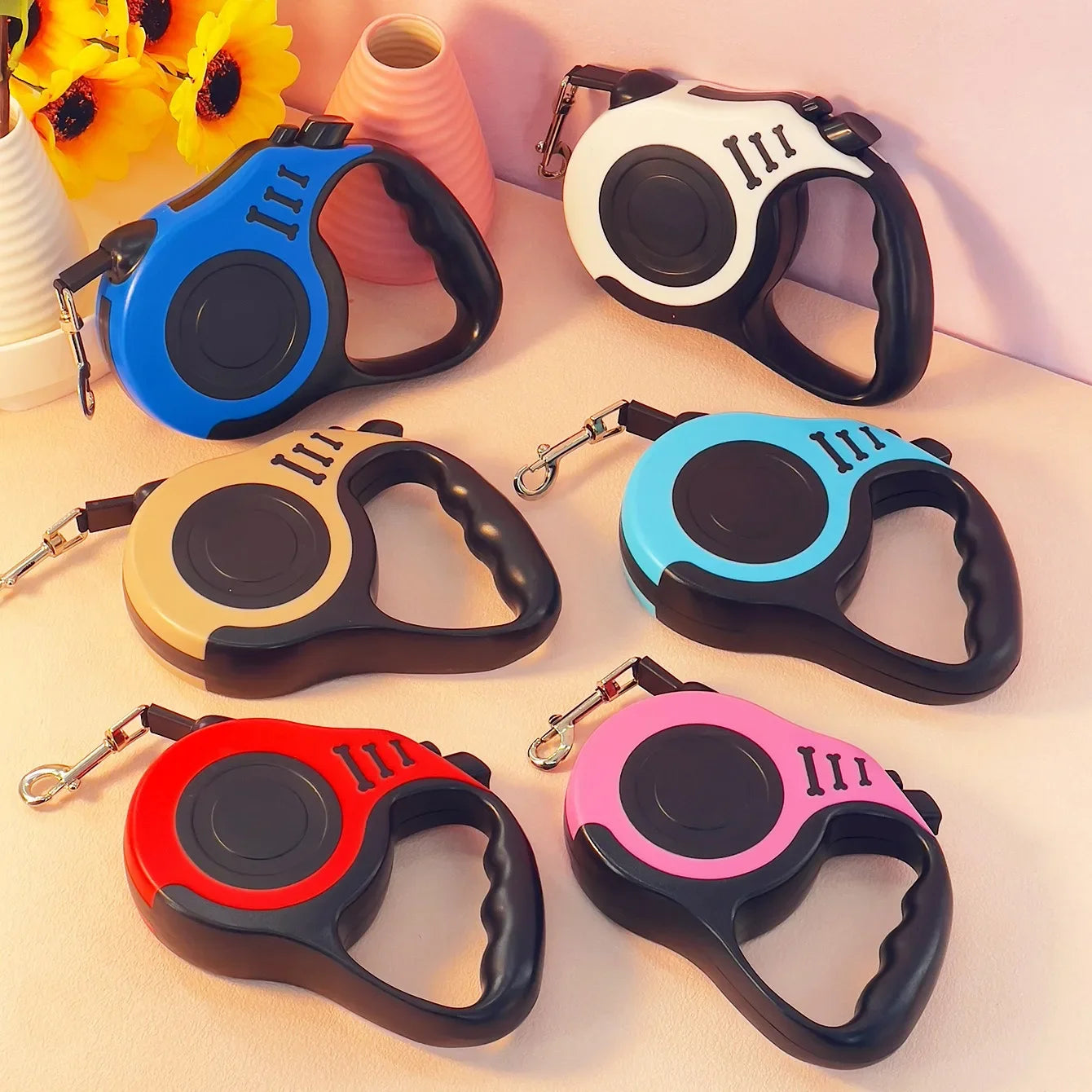 Unleash Joyful Adventures with Your Furry Friend!