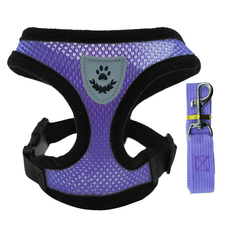 "Unleash Joyful Adventures With Your Best Friend!"
